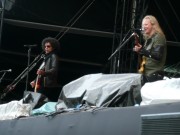 Alice in Chains at Marlay Park