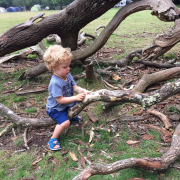 Ashurst Campsite with Ethan and Rory August 2016