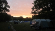 Camping in the New Forest May 2015