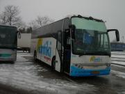 Contiki Bus