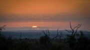 Kruger Park Game Drive Sunrise