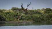 Kruger Park Sunset Dam