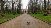 Nunhead Cemetery January 2020