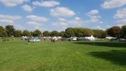 Peckham Rye Fete and Dog Show September 2018