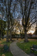 Putney Old Burial Ground