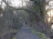 Richmond Towpath