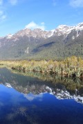 Road To Milford Sound