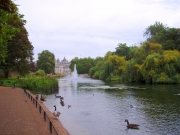 Saint James Park