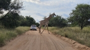 South Africa Mabalingwe 2026