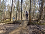 Swinley Forest Mountain Biking