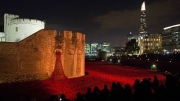 Tower of London Poppies at Night