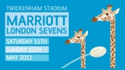 Twickenham Rugby Sevens 2013 Safari