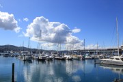 View from Wellington Harbour