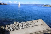 View from Wellington Harbour