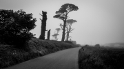 West Cork Black and White Landscape